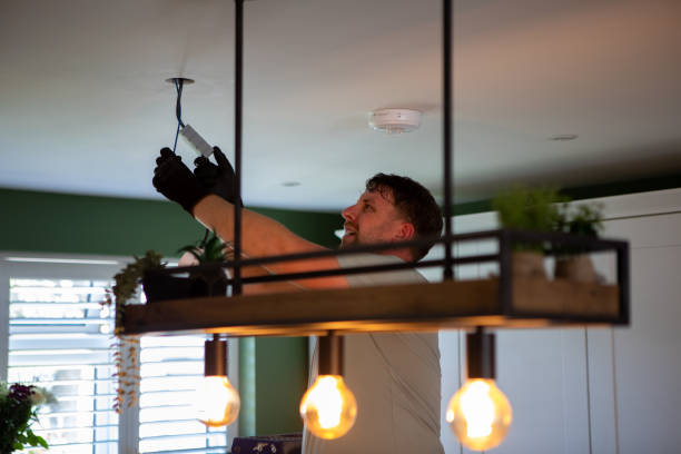 Best Electric Panel Repair  in Crescent City, FL